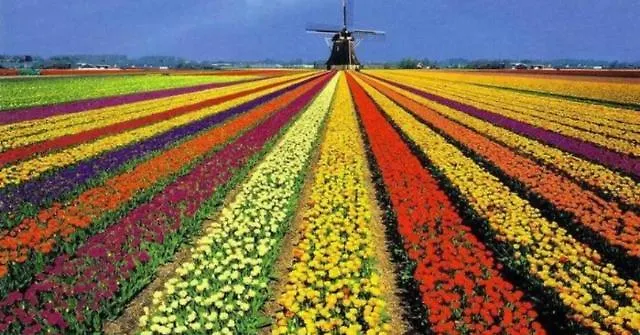 Between Haarlem&amsterdam Vijfhuizen